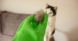 woman wearing green rubber gloves holding a hairball in front of her cat